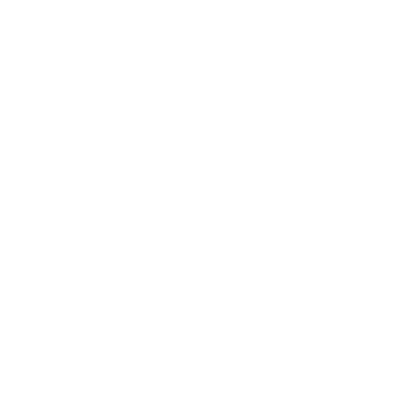 PROTAGONIST